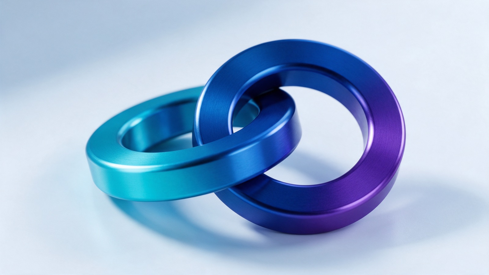 Two interlocking milled aluminium rings clasped together like a seal.